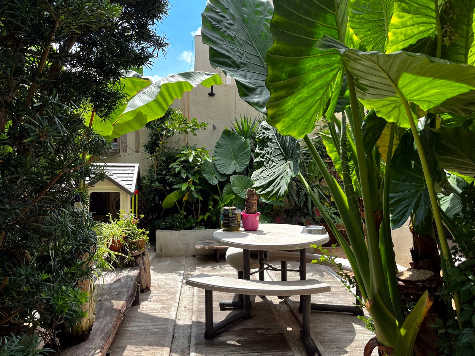 Jardín interior y área social